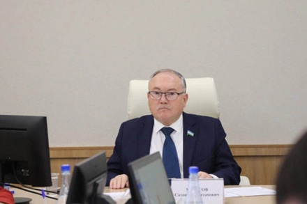 Башкирский депутат опроверг факт предложения о запрете на брак генетически несовместимых партнёров