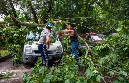 Сильный ветер в Москве повалил более 150 деревьев