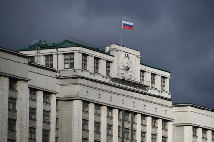 За финансирование нежелательной в РФ иностранной НПО предложили ввести уголовную ответственность