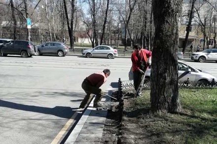 В Москве уберут заборы вокруг газонов