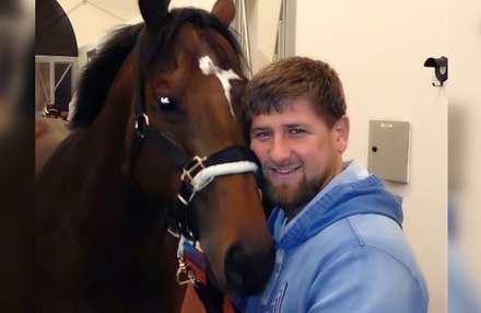 Рамзан Кадыров рассказал о помощи спецслужб Украины в выкупе коня