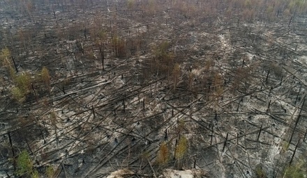 В МЧС заявили о ликвидации всех пожаров в Рязанской и Ивановской областях
