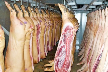 Минэкономразвития РФ считает претензии ЕС к недопуску свинины безосновательными