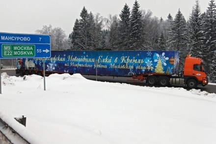 Главную новогоднюю ёлку страны доставили в Кремль