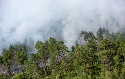 Глава МЧС потребовал расследовать каждый факт возгорания в лесах