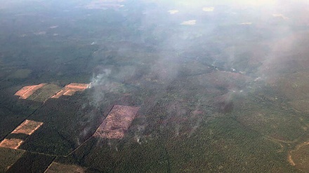 Скорость распространения пожаров в Красноярском крае сократилась в 5 раз