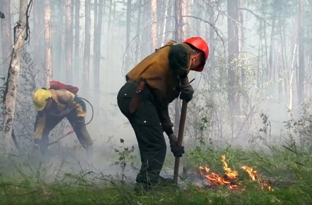 Власти Италии предложили России помощь в тушении лесных пожаров в Сибири