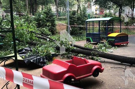 В Москве на Гольяновском проезде дерево упало на двухлетнего ребёнка