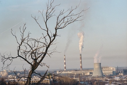 Больше трети граждан России замечают ухудшение экологической ситуации в стране