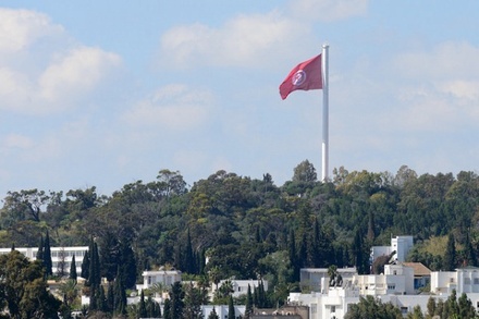 В Тунисе активисты сформировали движение «красных жилетов»