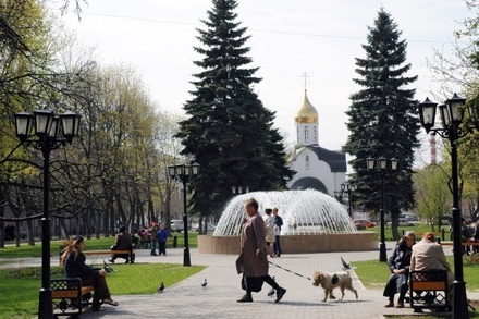 В Мособлизбиркоме рассказали, когда пройдут выборы мэра Балашихи