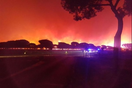 В Испании из-за лесного пожара эвакуировано более двух тысяч человек