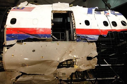 В Совфеде ответили на расследование катастрофы MH17: назвать фамилию человека – ещё ни о чём