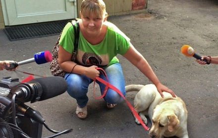 В Москве задержана предполагаемая похитительница собаки-поводыря 