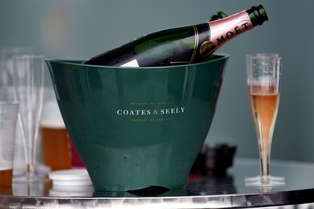 Moet Hennessy предупредил о приостановке поставок шампанского в Россию