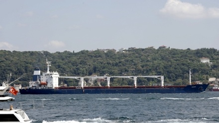 Из портов Украины готовится выйти ещё десять судов с зерном
