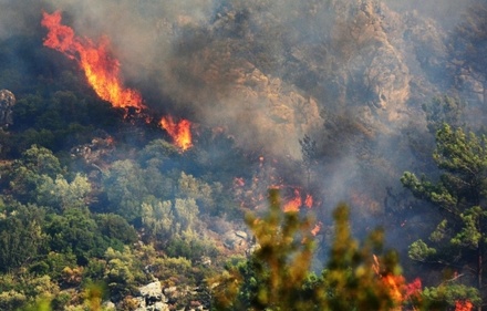 150 жителей Мармариса на юге Турции эвакуированы из-за лесного пожара