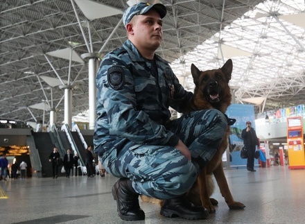 Полиция зафиксировала снижение преступности в Москве на фоне самоизоляции