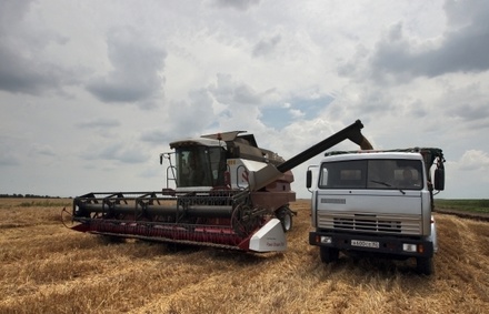 Глава Саратовской области поддержал инициативу Путина об экспорте сельхозтоваров