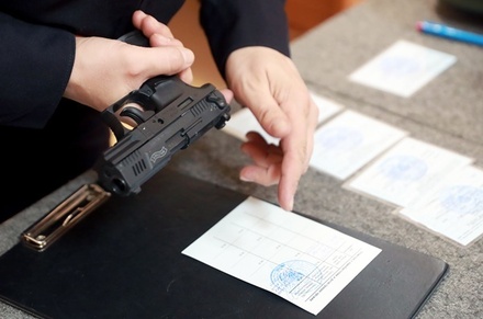 Комитет Думы одобрил ужесточение правил выдачи лицензий на оружие