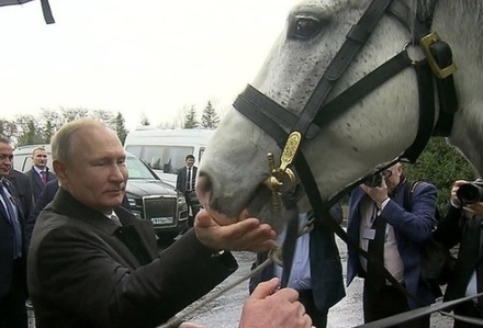 Президент Киргизии подарил Путину коня и собаку