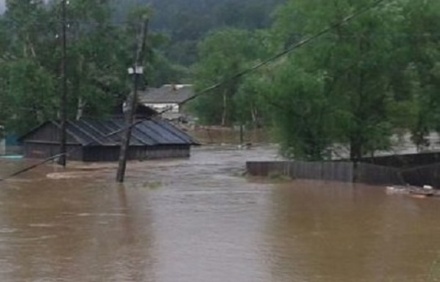 В Приморье из-за паводка за сутки эвакуировали более 300 человек 