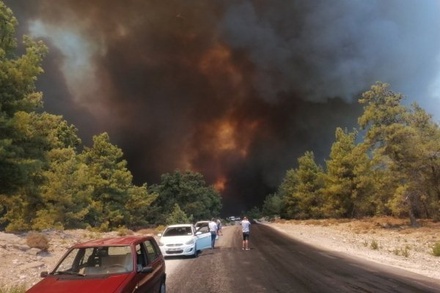 В Турции началось расследование причин лесных пожаров