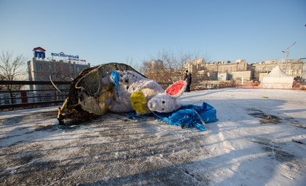 Во Владивостоке сгорела фигура мыши за 670 000 рублей