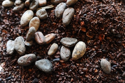 Цены на какао установили рекорд
