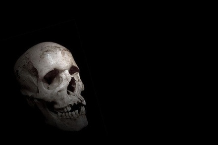 В Театре киноактёра в Москве нашли человеческий череп