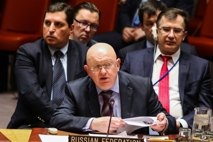 Назван способ обойти вето России в Совете Безопасности ООН