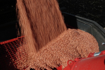 В Госдуме призвали отменить экспортную пошлину на зерно для Дальнего Востока