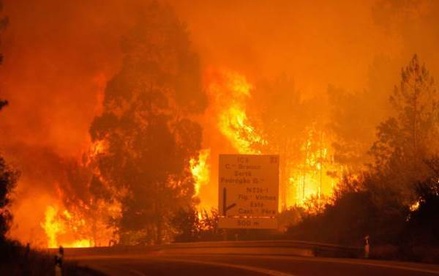 Число погибших при лесных пожарах в Португалии увеличилось до 43