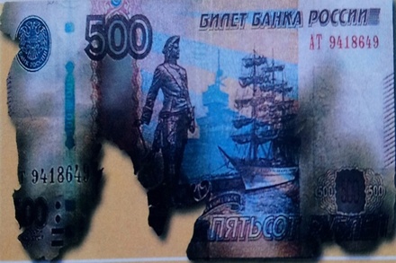 Житель Брянской области случайно сжёг полтора миллиона рублей