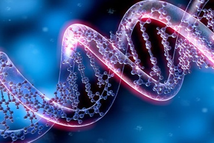 Российские учёные изучают ДНК убийц для прогнозов поведения людей по геному