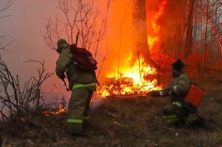 В Коми потушили шесть лесных пожаров