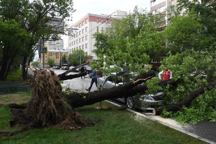 Число жертв майского урагана в Москве и области увеличилось до 18