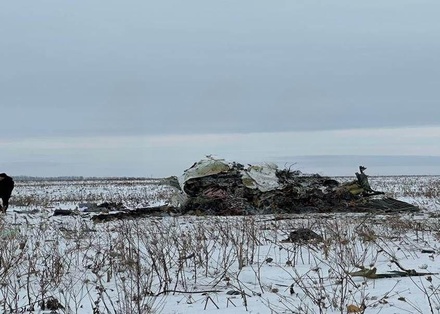 В Госдуме назвали терактом крушение Ил-76 над Белгородом