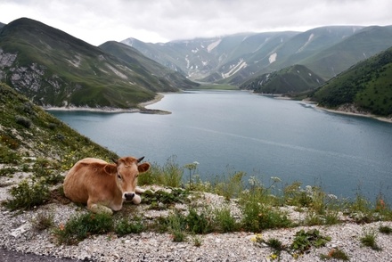 Из-за коронавируса власти Чечни предложили россиянам поехать на курорты Кавказа вместо Европы