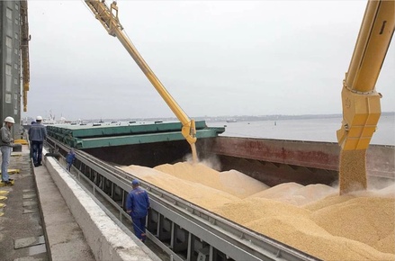 В Госдуме назвали условие возвращения России к «зерновой сделке»