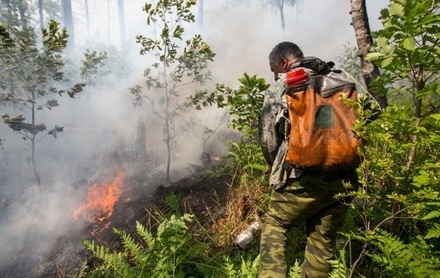 46 тысяч человек тушат пожары в Сибири