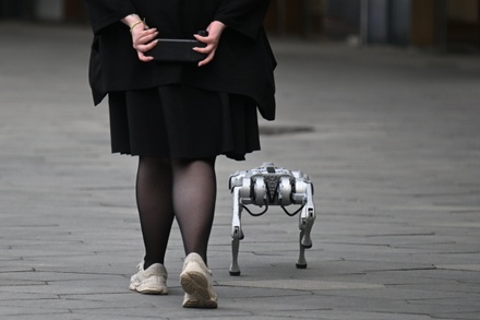 Аналитики сообщили о росте продаж домашних роботов-собак