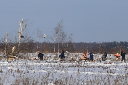 При крушении Ан-148 погибли 11 москвичей