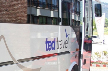 Туроператор Ted Travel задолжал клиентам более 27,5 млн рублей
