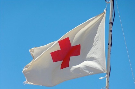 Россия ежегодно будет делать взносы в бюджет Красного Креста