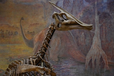 Бельгийские учёные назвали причину исчезновения динозавров