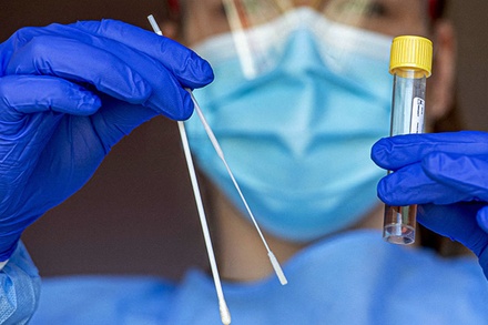В России проведено больше 93 млн тестов на коронавирус