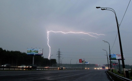 МЧС объявило в Москве штормовое предупреждение из-за дождя и сильного ветра