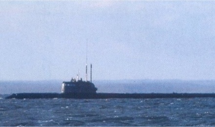 «Коммерсантъ» рассказал о возможности эвакуации у погибших в Баренцевом море подводников