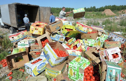 В Госдуме заявили, что продовольственные санкции в отношении Запада будут действовать много лет